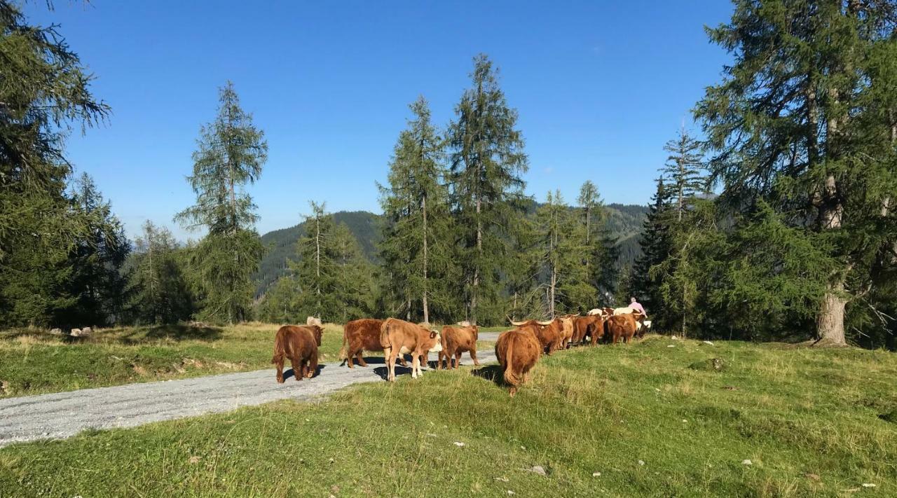Appartementhaus Sky Lodge Altenmarkt im Pongau Eksteriør billede